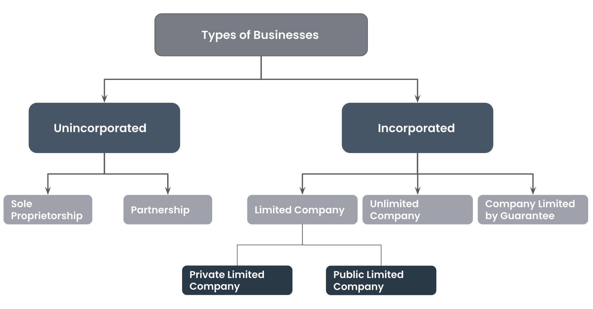 The Definitive Guide to Business Registration in Sri Lanka